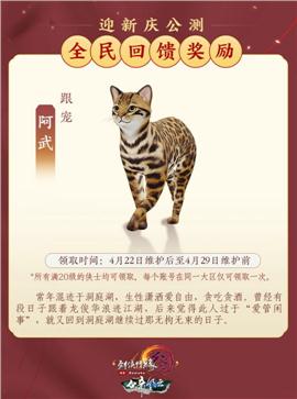 大汉天龙八部私服